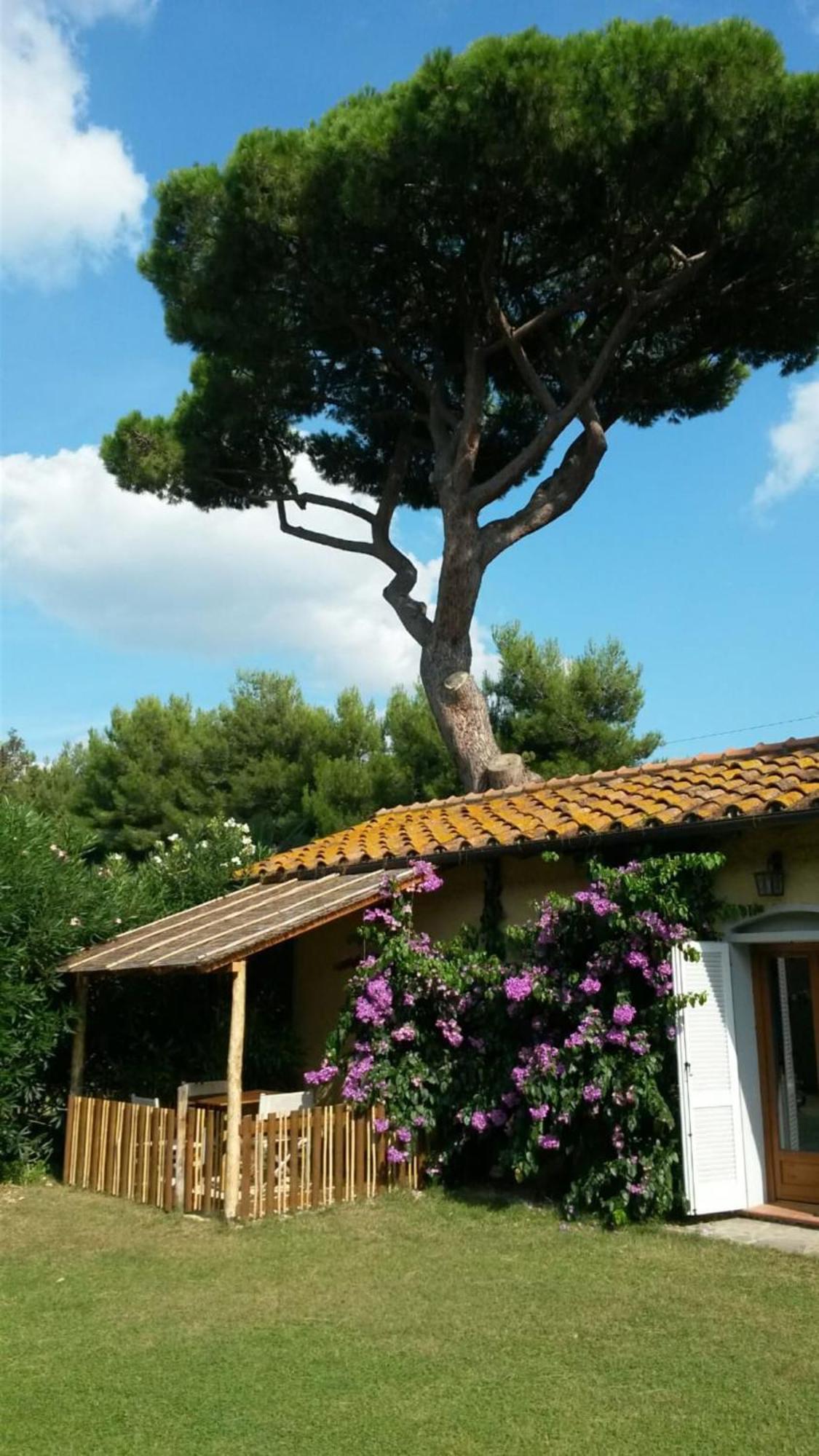 Villa I Cavalleggeri à Castagneto Carducci Extérieur photo